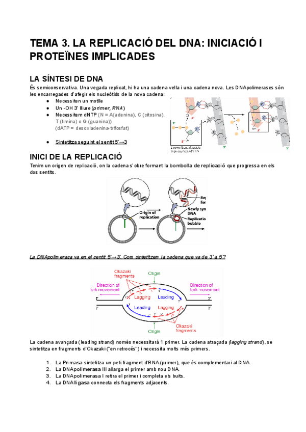 Miniatura del documento TEMA-3.-LA-REPLICACIO-DEL-DNA-INICIACIO-I-PROTEINES-IMPLICADES.pdf