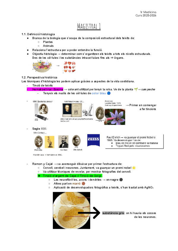Miniatura del documento Estructura-I.pdf