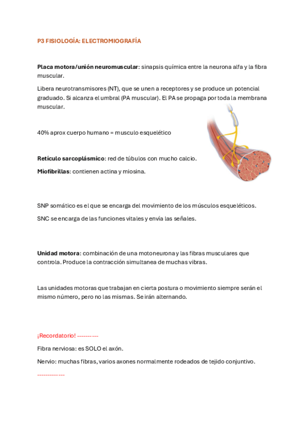 Miniatura del documento Practica-3-Fisiologia.pdf