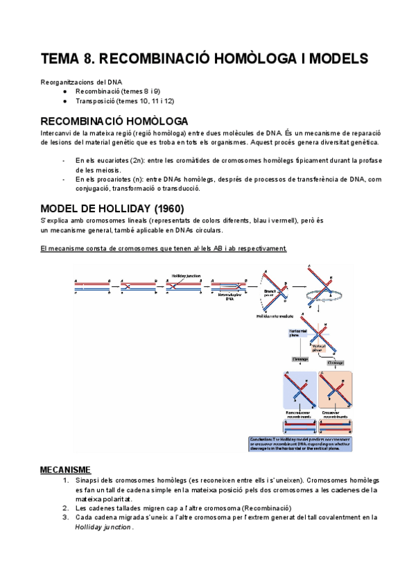 Miniatura del documento TEMA-8.-RECOMBINACIO-HOMOLOGA-I-MODELS.pdf