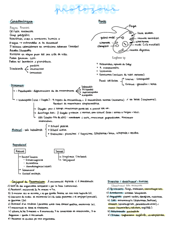 Miniatura del documento Zoo-1r-Parcial-TOT.pdf