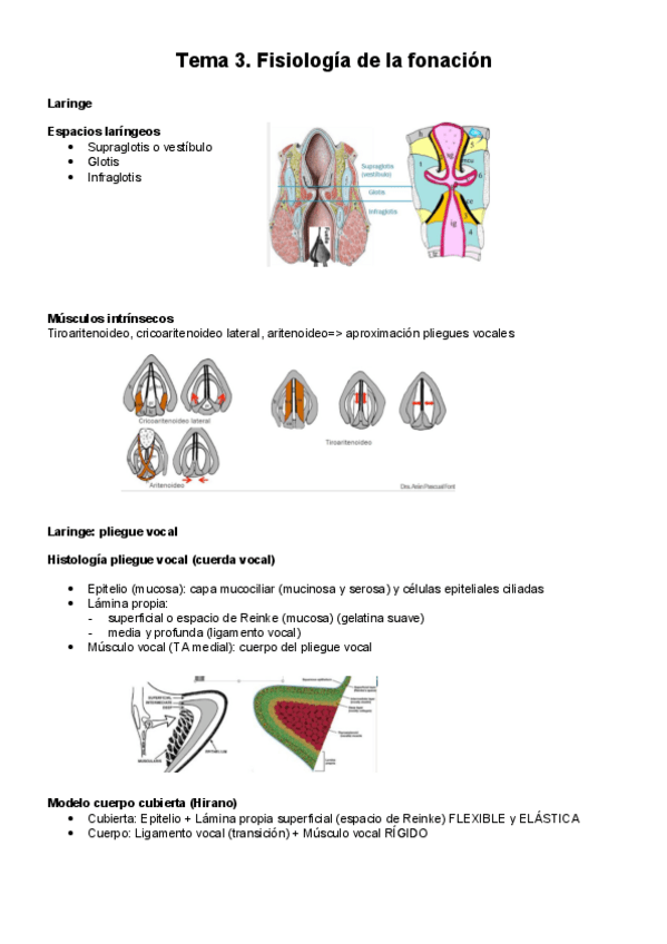 Miniatura del documento Tema-3.pdf