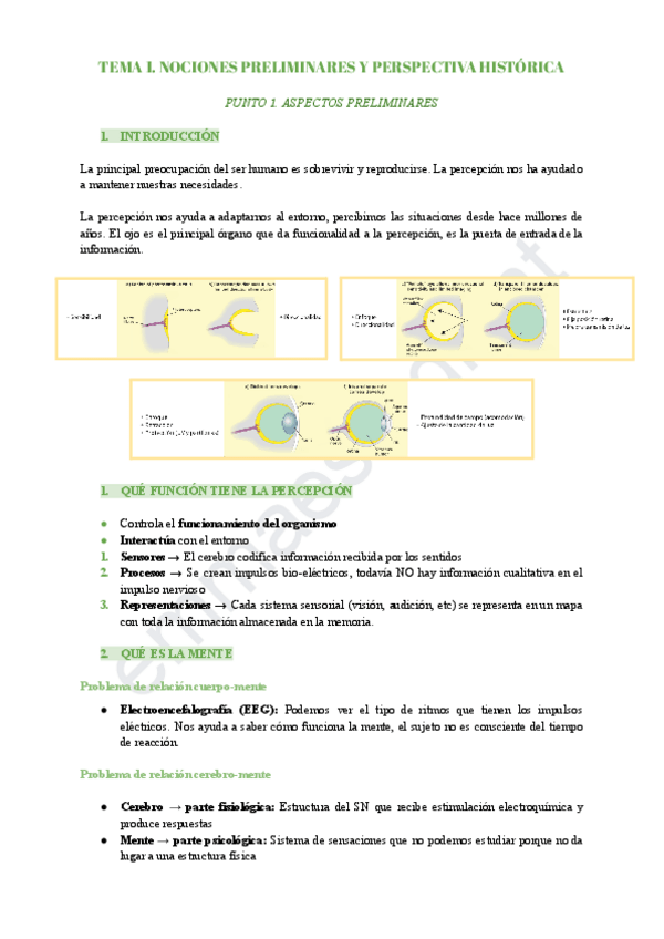 Miniatura del documento Tema-1-Percepcio-i-atencio-nociones-preliminares-y-perspectiva-historica.pdf