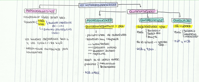 Miniatura del documento Heteropolisacaridos.pdf