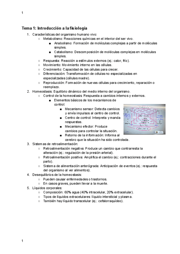 Miniatura del documento examen-enero-fisio.pdf