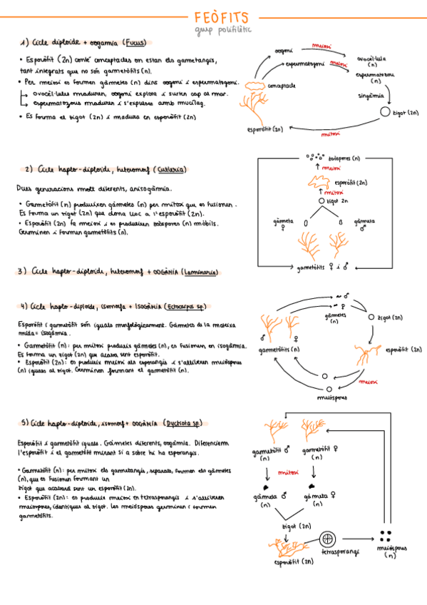 Miniatura del documento 1r-Parcial-Botanica.pdf