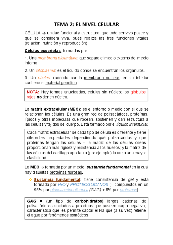 Miniatura del documento TEMA-2-El-nivel-celularFisiopato-G..pdf