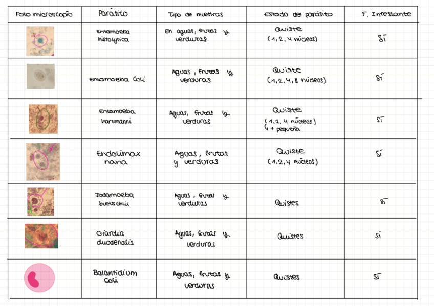 Miniatura del documento Tabla-resumen-practicas-parasitos.pdf