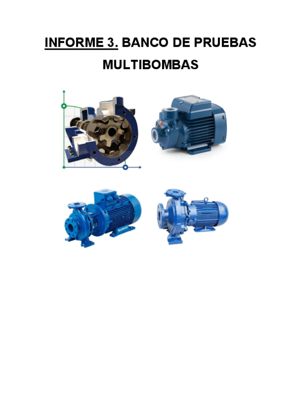 Miniatura del documento Informe-Multibomba.pdf