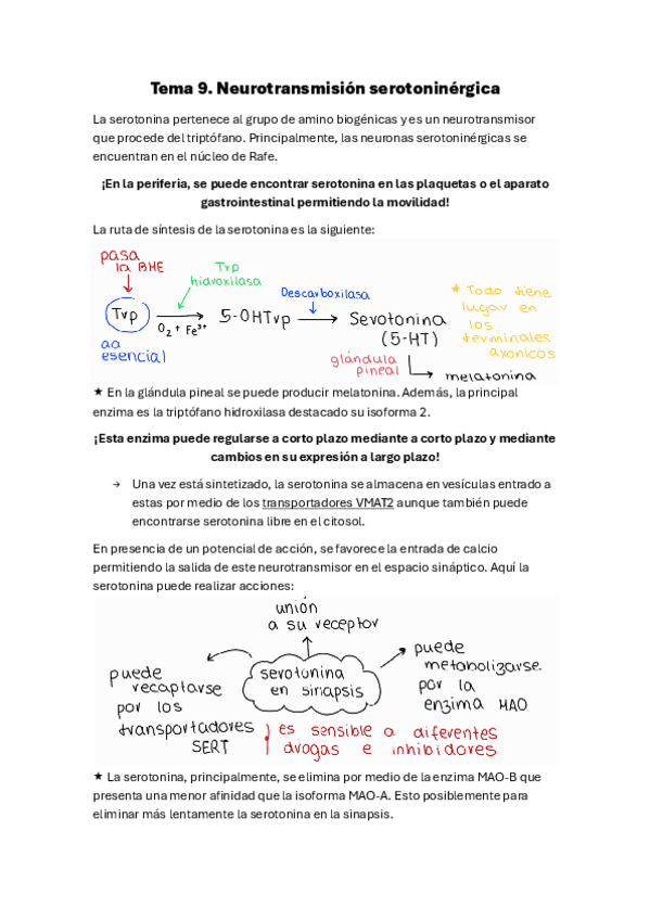 Miniatura del documento Tema-9.-Neurotransmision-serotoninergica.pdf