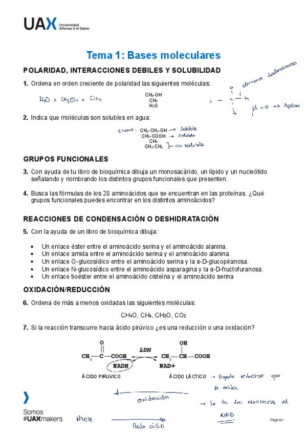 Miniatura del documento TRAB-TEMA-1-Bases-moleculares.pdf