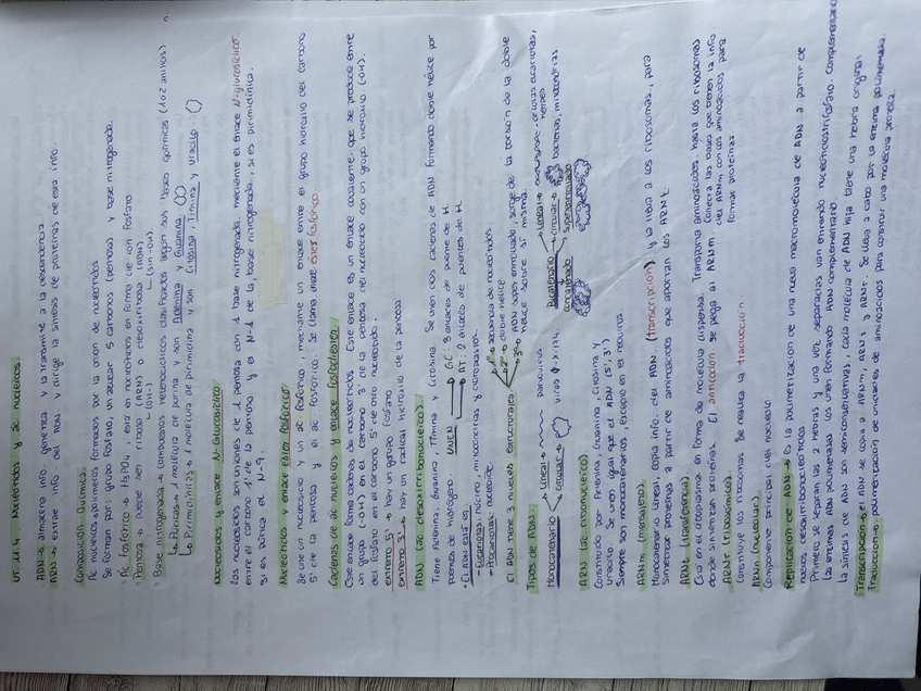 Miniatura del documento Image251102122824.jpeg