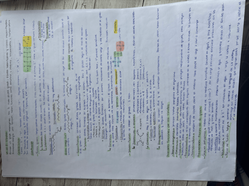 Miniatura del documento Image251102122740.jpeg