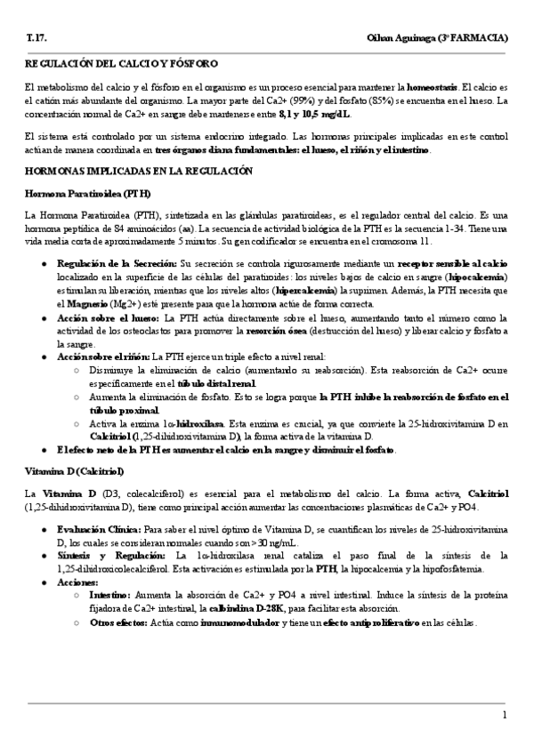 Miniatura del documento Resumen-T.17..pdf