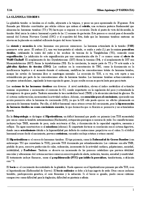 Miniatura del documento Resumen-T.14..pdf