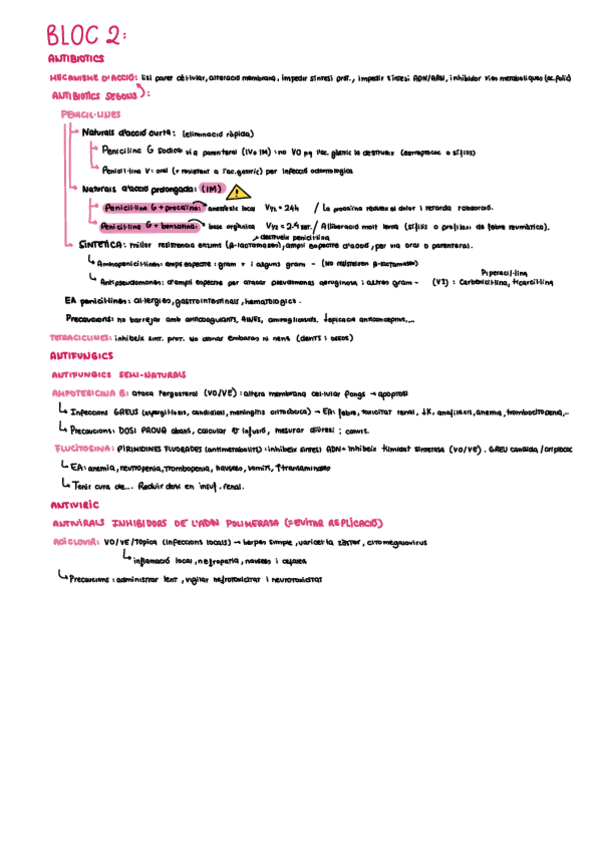 Miniatura del documento Bloc-2-resum.pdf