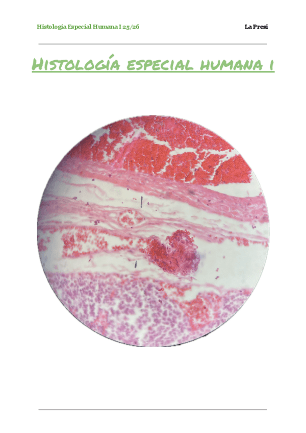 Miniatura del documento HI-Organos-linfoides-segunda-parte.pdf