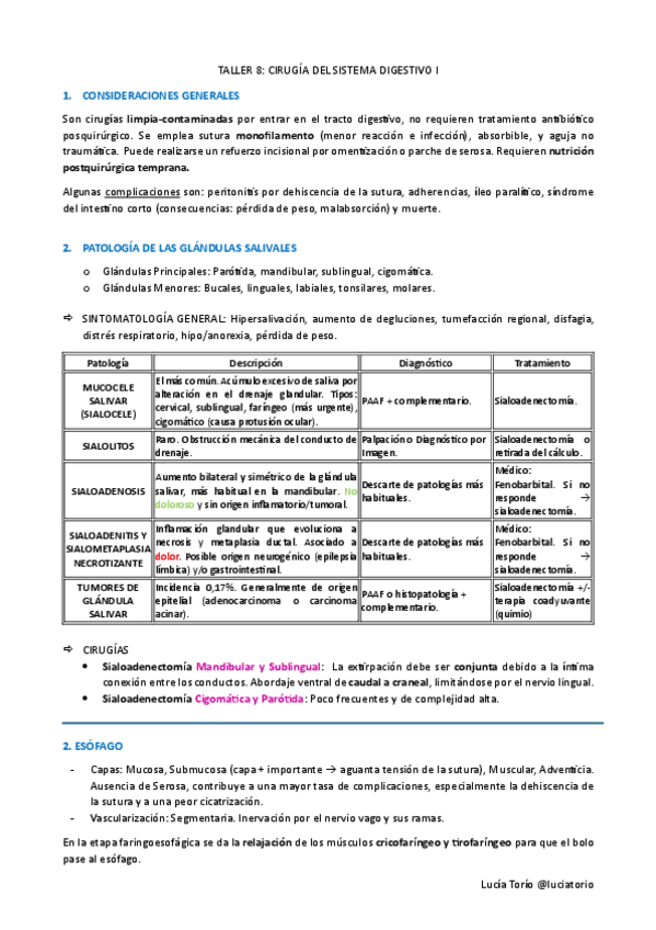 Miniatura del documento IECPA-Taller-8-Cirugia-del-S-Digestivo-I.pdf