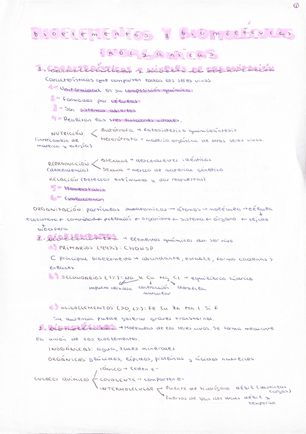 Miniatura del documento Tema-1-Bioelemento-y-biomoleculas-inorganicas.pdf