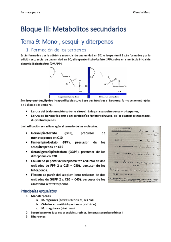 Miniatura del documento Tema-9.pdf