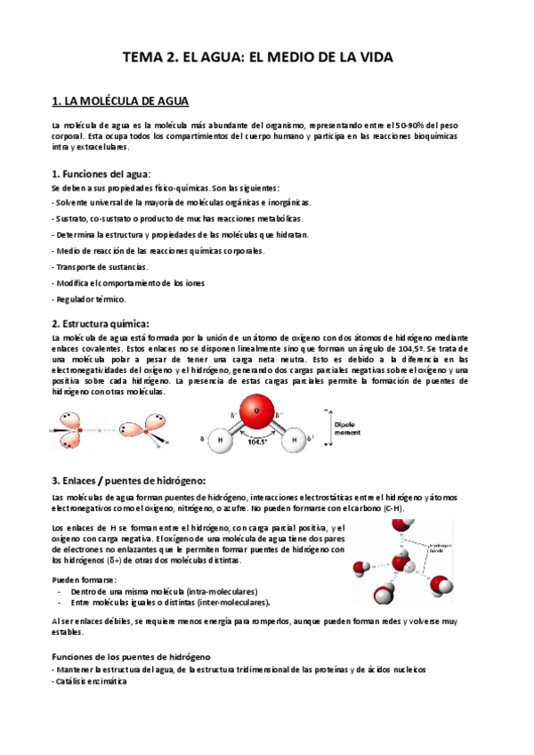 Miniatura del documento TEMA-2.-EL-AGUA.pdf