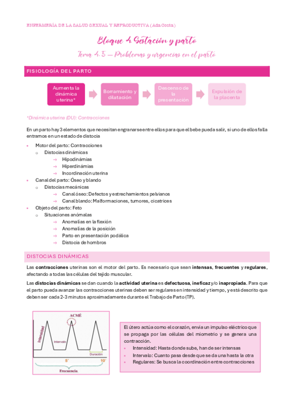 Miniatura del documento UT4.-Tema-5-Problemas-y-urgencias-en-el-parto.pdf