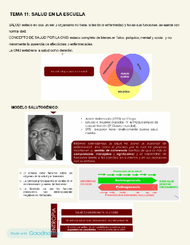 Miniatura del documento Tema-11-salud-en-la-escuela.pdf