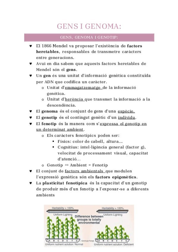 Miniatura del documento TEMA-3-GENS-I-GENOMA.pdf