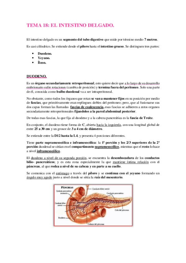 Miniatura del documento TEMA-18-26 1 er cuatri.pdf.pdf
