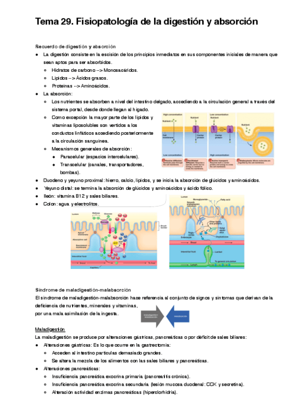 Miniatura del documento Tema-29.pdf