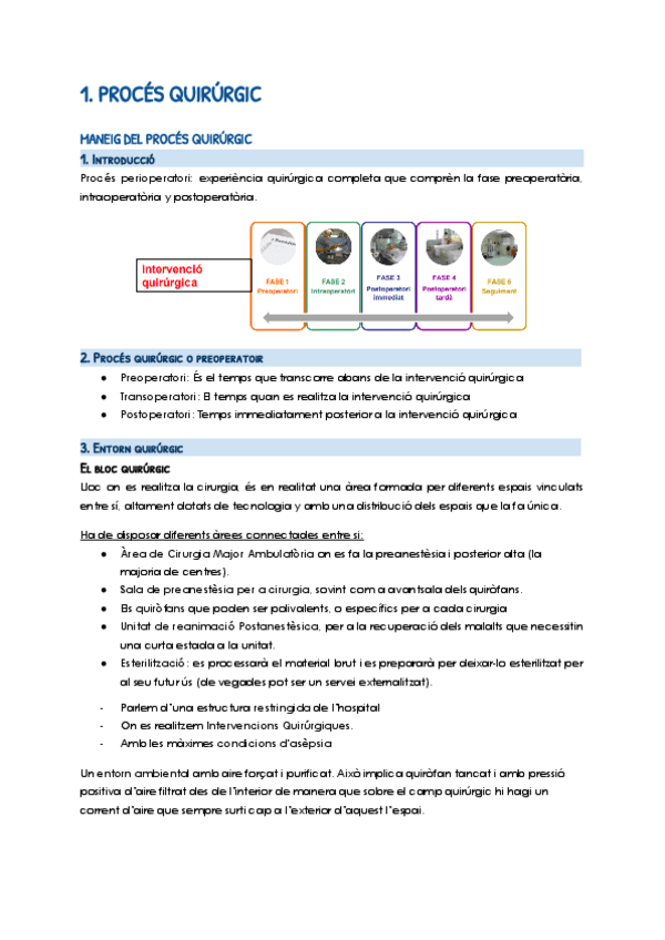 Miniatura del documento 1.-Proces-quirurgic-Documentos-de-Google.pdf