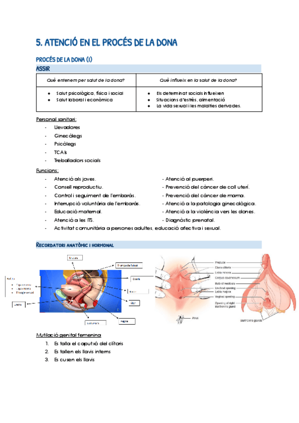 Miniatura del documento 5.-Proces-de-la-dona-Documentos-de-Google.pdf
