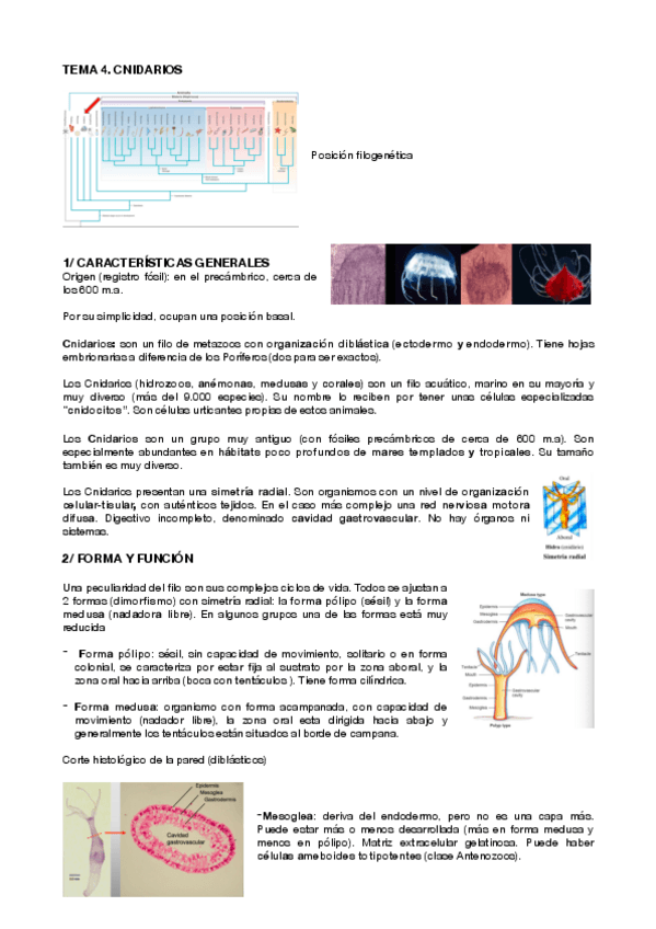 Miniatura del documento ZOOLOGIA-II-parte-2-T4-6.pdf