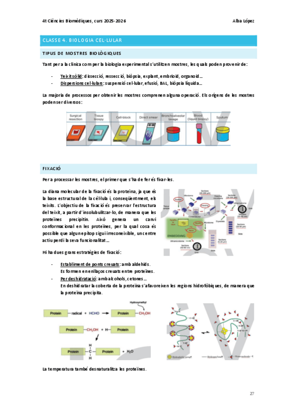 Miniatura del documento Cas-4.-Miocarditis-vs.-SARS-CoV-2.-Biologia-cellular.pdf