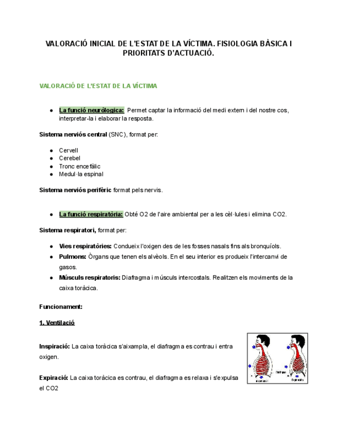 Miniatura del documento PRIMERS-AUXILIS-VALORACIO-INICIAL-DE-LESTAT-DE-LA-VICTIMA.-FISIOLOGIA-BASICA-I-PRIORITATS-DACTUACIO..pdf