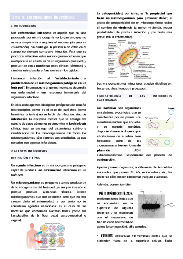 Miniatura del documento tema-11-enfermedades-infecciosas.pdf