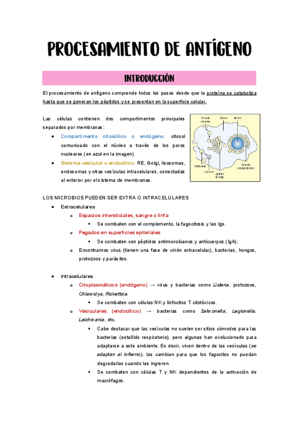 Miniatura del documento 9.-Procesamiento-de-antigeno.pdf