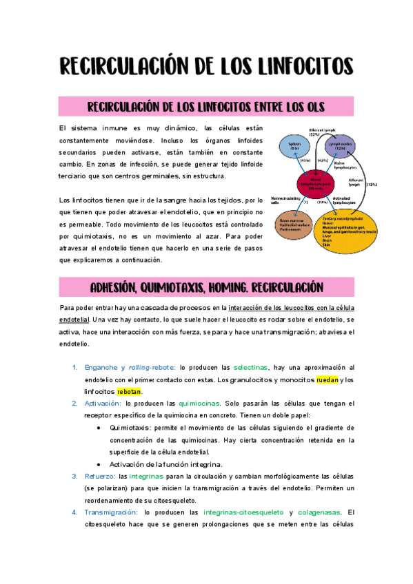 Miniatura del documento 14.-Recirculacion-de-los-linfocitos.pdf