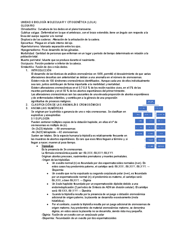 Miniatura del documento UD-6-BIOLOGIA.pdf