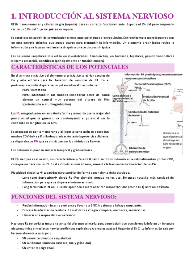 Miniatura del documento FISIO-NEURO-2.pdf