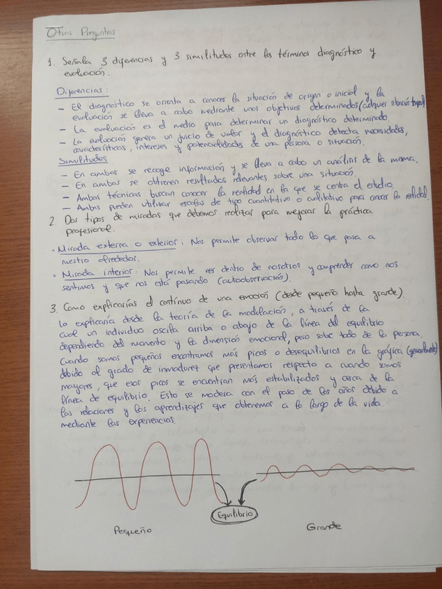 Miniatura del documento otras-preguntas.jpg