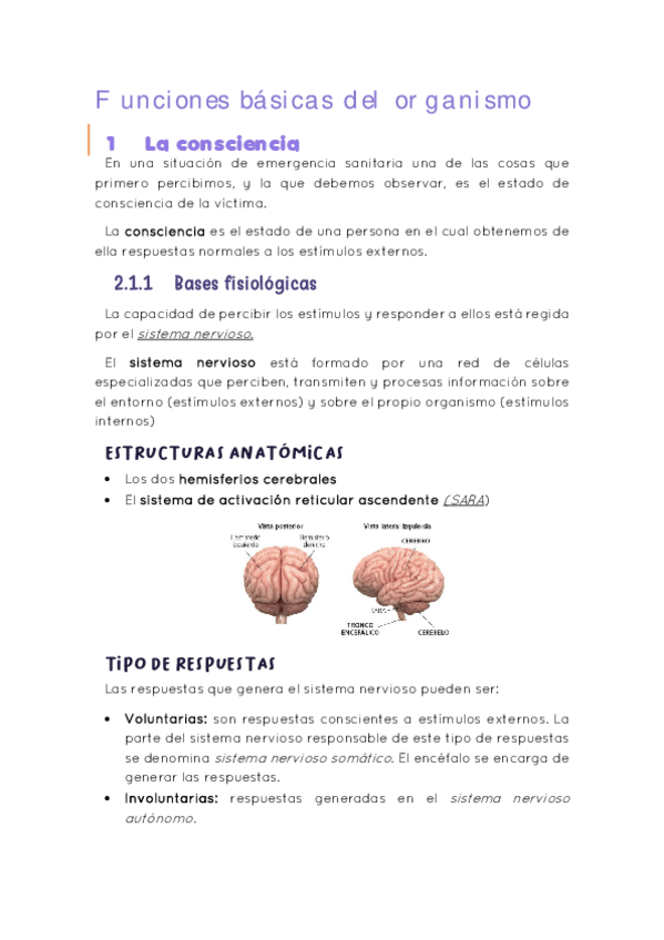 Miniatura del documento Tema-2.-Funciones-basicas-del-organismo.pdf