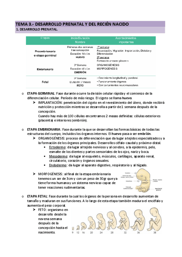 Miniatura del documento TEMA-3.-DESARROLLO-PRENATAL-Y-DEL-RECIEN-NACIDO-PSICOLOGIA-DEL-DESARROLLO.pdf