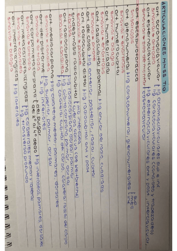 Miniatura del documento TEMA-10-ARTICULACIONES-DEL-MMSS.pdf