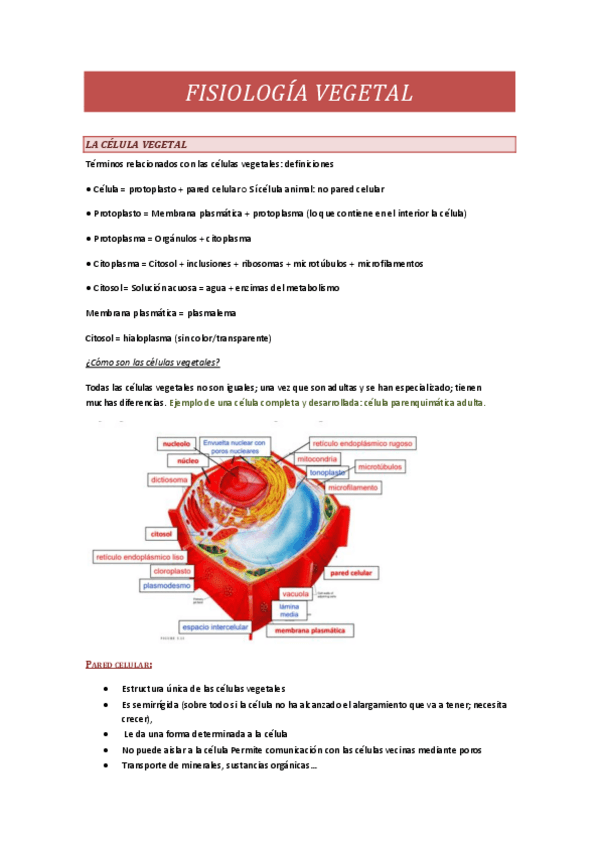 Miniatura del documento FV-1.pdf