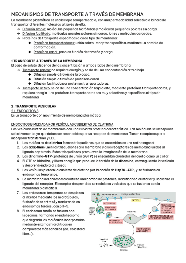 T2-BIOCEL-.-MECANISMOS-DE-TRANSPORTE-A-TRAVES-DE-LA-MEMBRANA.pdf