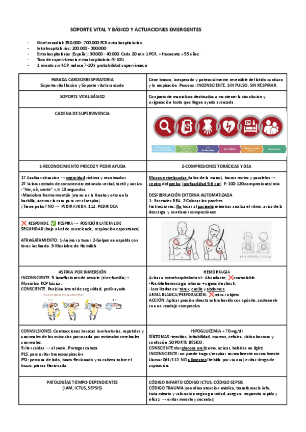 Miniatura del documento ESQUEMA-SOPORTE-VITAL-BASICO-Y-ACTUACIONES-EMERGENTES.pdf