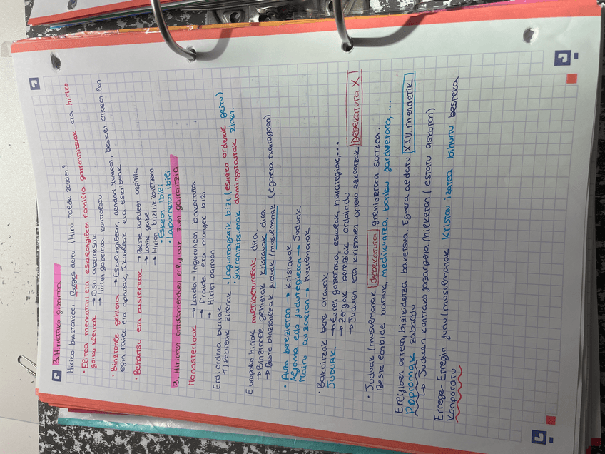 Miniatura del documento image.jpg