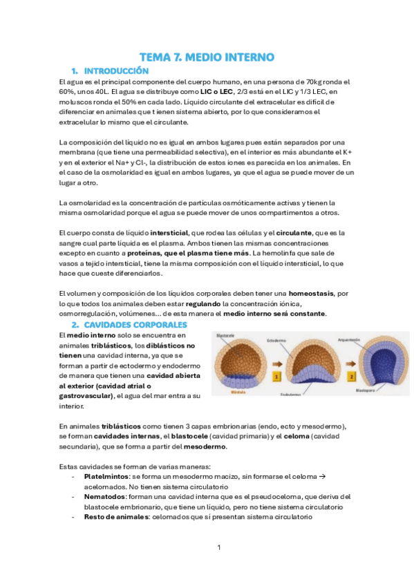 Miniatura del documento Tema-7.-Fisio-Comparada.pdf