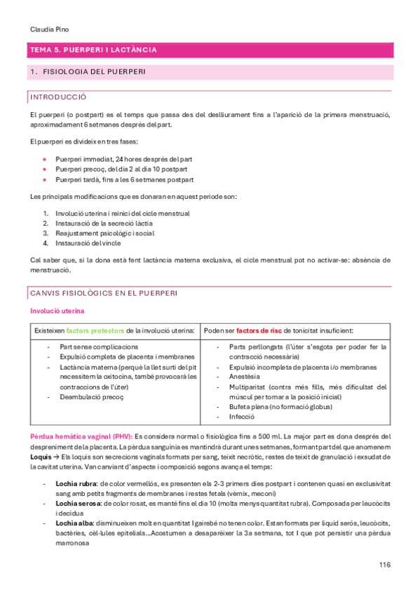 Miniatura del documento UT5.-TEMA-1-2-3-ATENCIO-EN-EL-PUERPERI.pdf